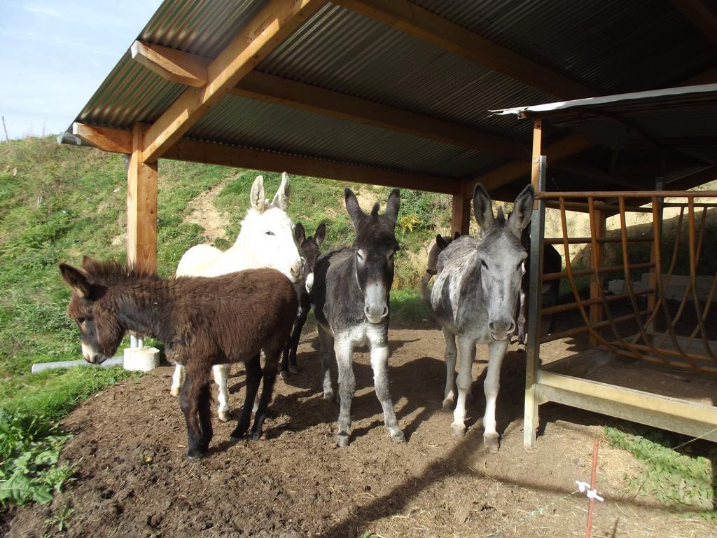 Chambres D'Hotes Le Belvedere Bagneres-de-Bigorre Bagian luar foto